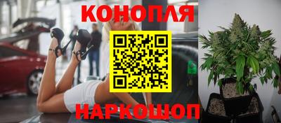 винт Ливны